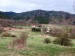 Bečkov (3)